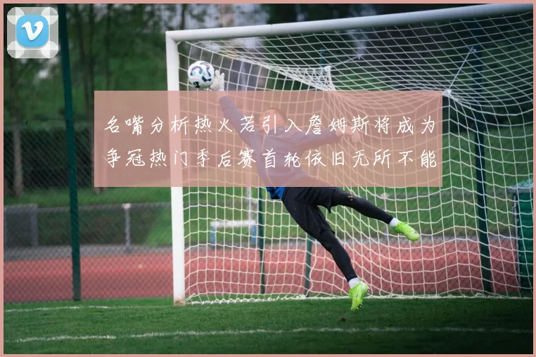 名嘴分析热火若引入詹姆斯将成为争冠热门季后赛首轮依旧无所不能